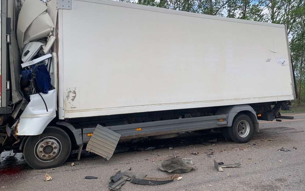Водитель погиб в раздавленной кабине: под Воронежем столкнулись два грузовика