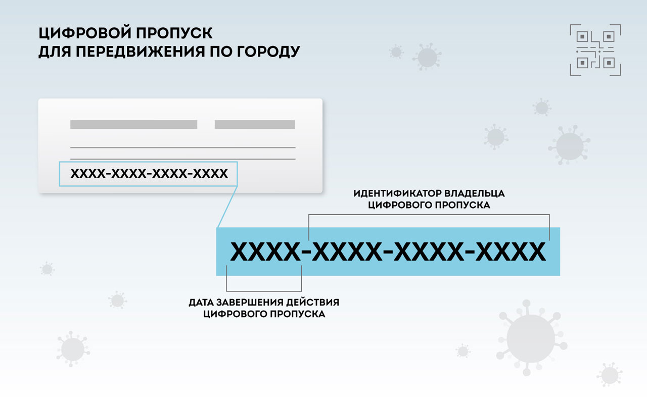 Где мне взять пропуск? Что будет, если его нет? И еще 9 вопросов