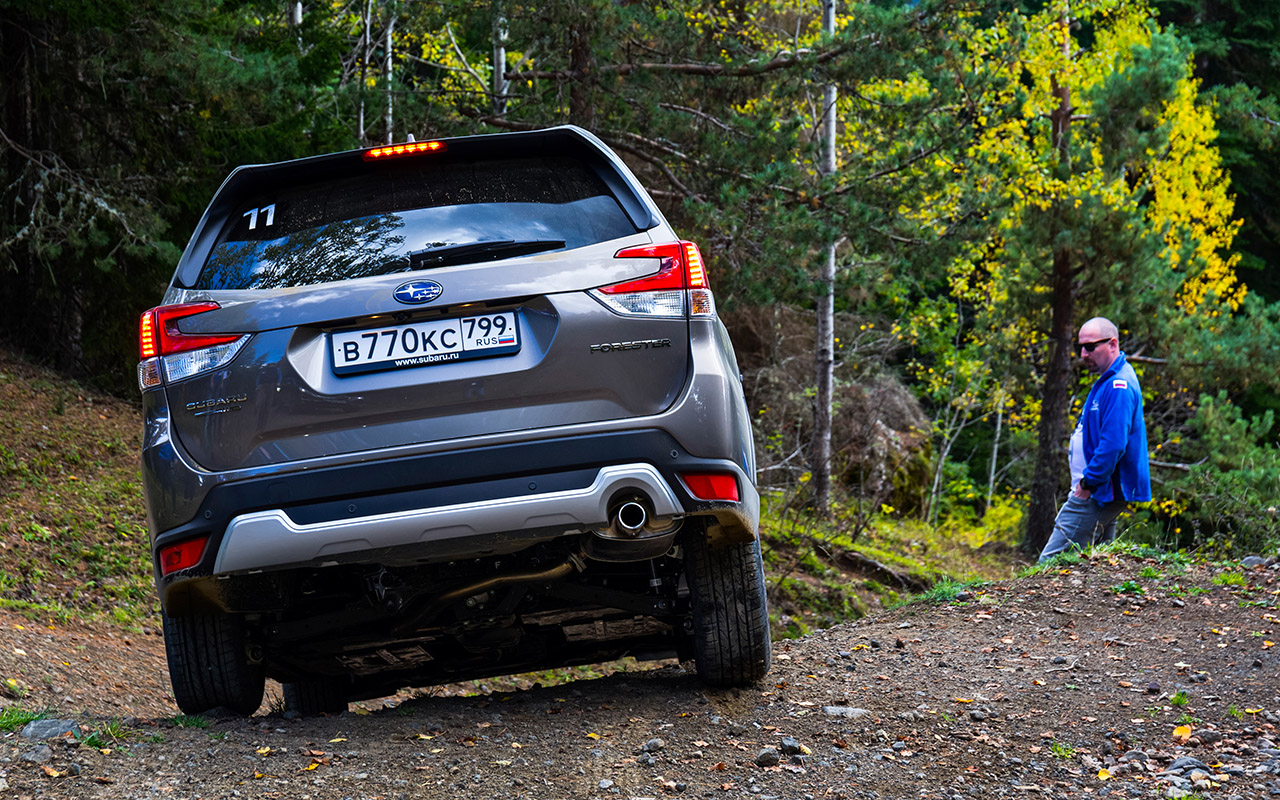 Новый Subaru Forester — тест-драйв без наддувательства