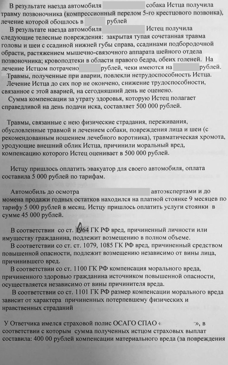 Сбил животное на дороге — что надо срочно сделать