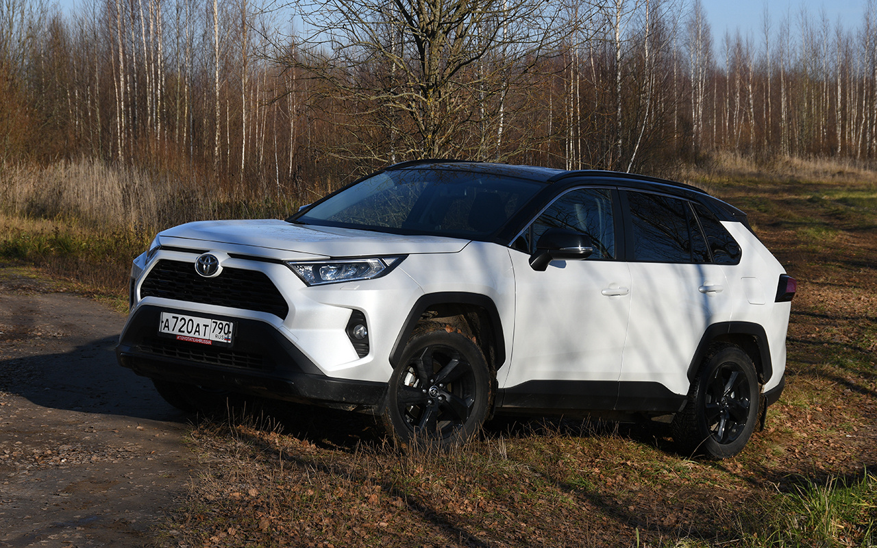 Toyota RAV4: жесткий тест и слабости безупречного (почти!) кроссовера