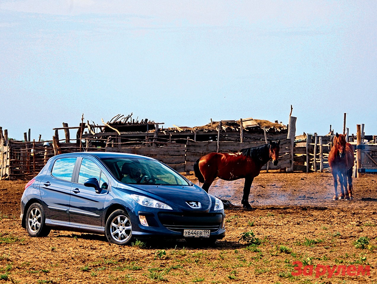 Вся правда о Peugeot 308